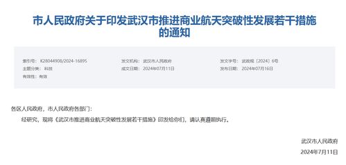 商業航天重磅 武漢放大招 打造 中國星谷